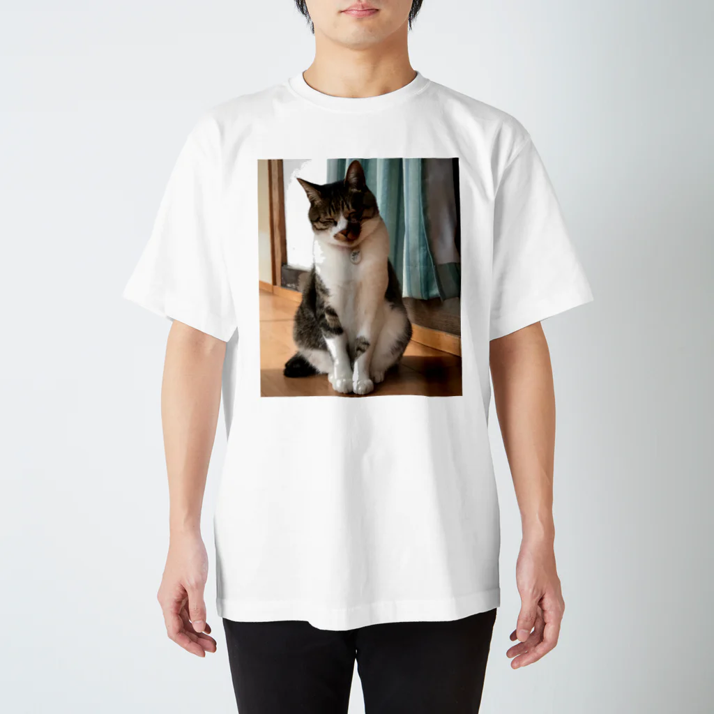 Yamawaki17のキャットネコ猫（実写） スタンダードTシャツ