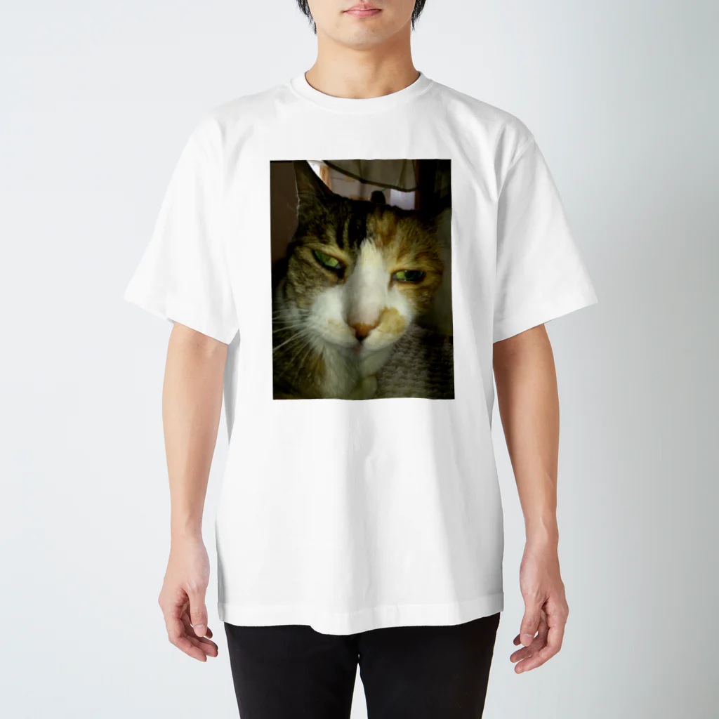 powpowの寝ぼけ猫 スタンダードTシャツ