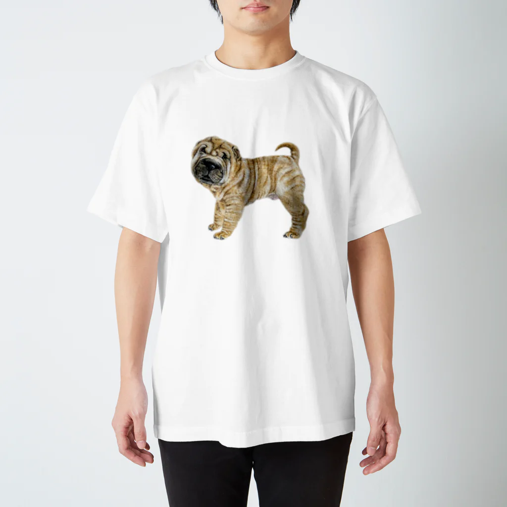 Animal Familyのチャイニーズシャーペイ　(犬） Regular Fit T-Shirt