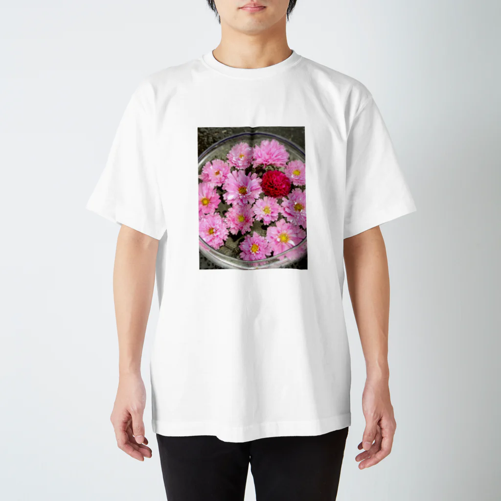 ゆきの八重咲き秋桜 スタンダードTシャツ