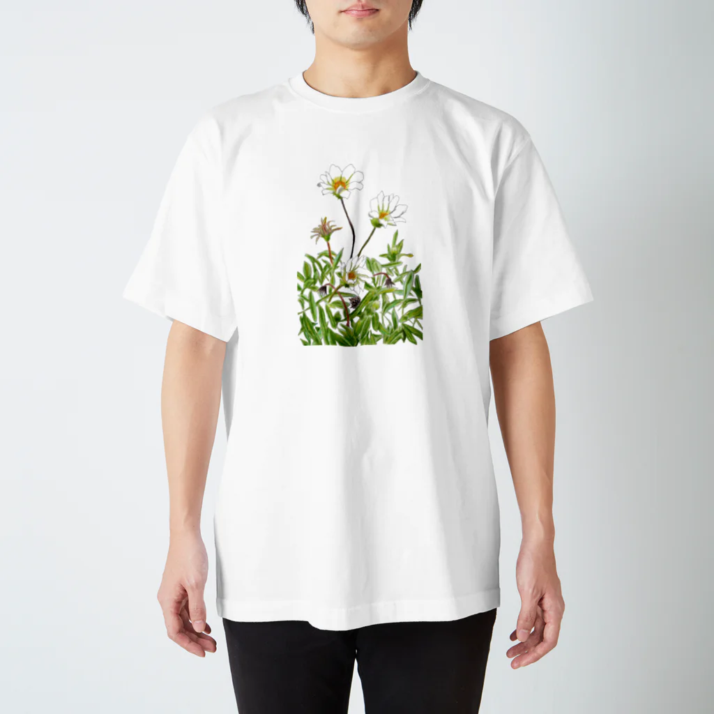 気ままに創作　よろず堂の花咲く小径①いろどり スタンダードTシャツ