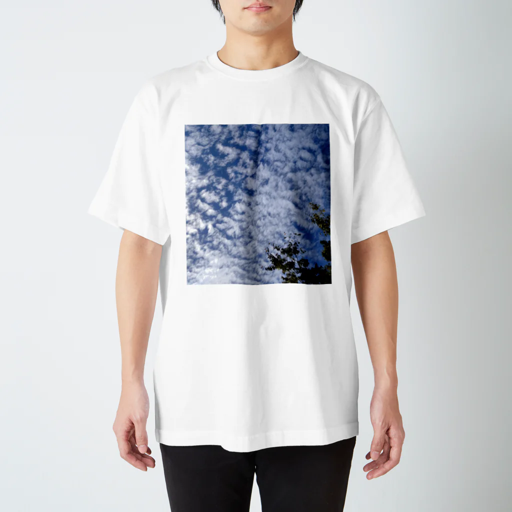 Lily bird（リリーバード）のいわし雲photo2 スタンダードTシャツ