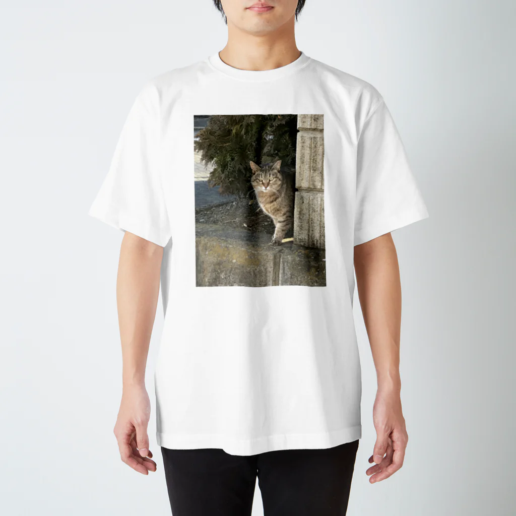 シンたまのジト目猫ちゃん スタンダードTシャツ