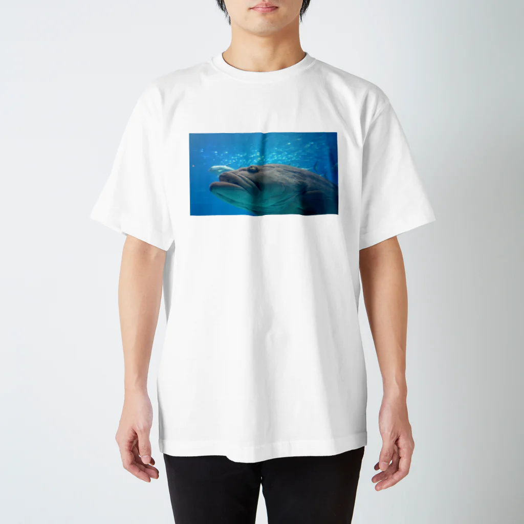 お茶屋さんの圧倒的に魚ちゃん Regular Fit T-Shirt