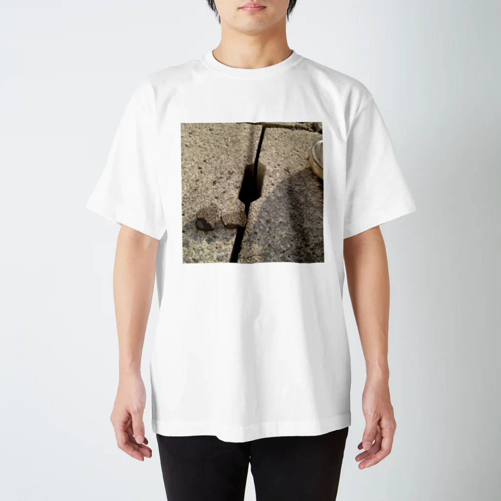 しがのWAY Regular Fit T-Shirt