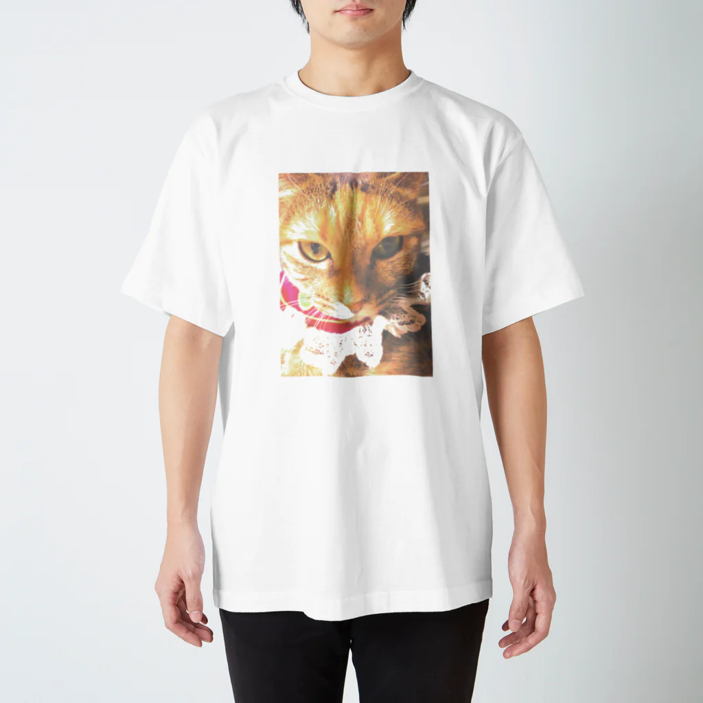 猫雑貨さんちこの猫プリンちゃん（姫） スタンダードTシャツ