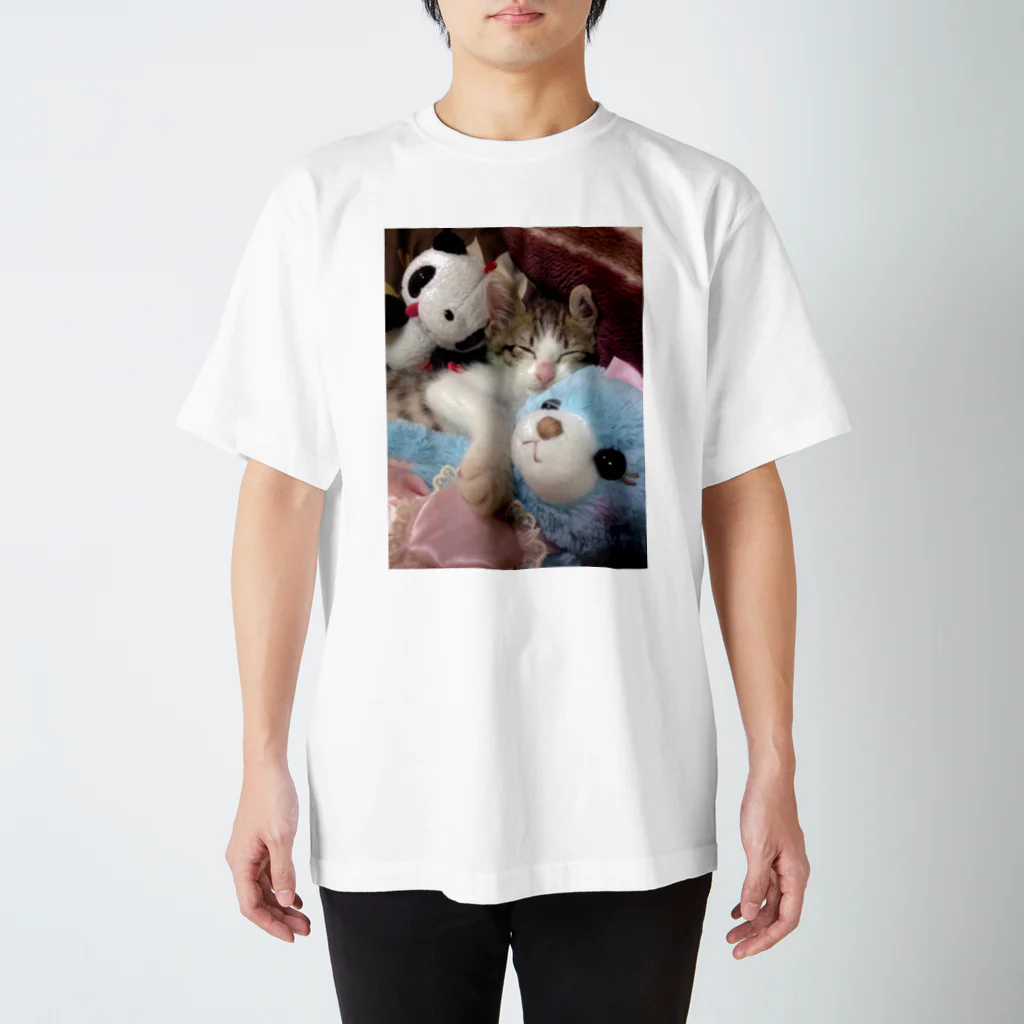 nyapikopiのganmo子猫 スタンダードTシャツ