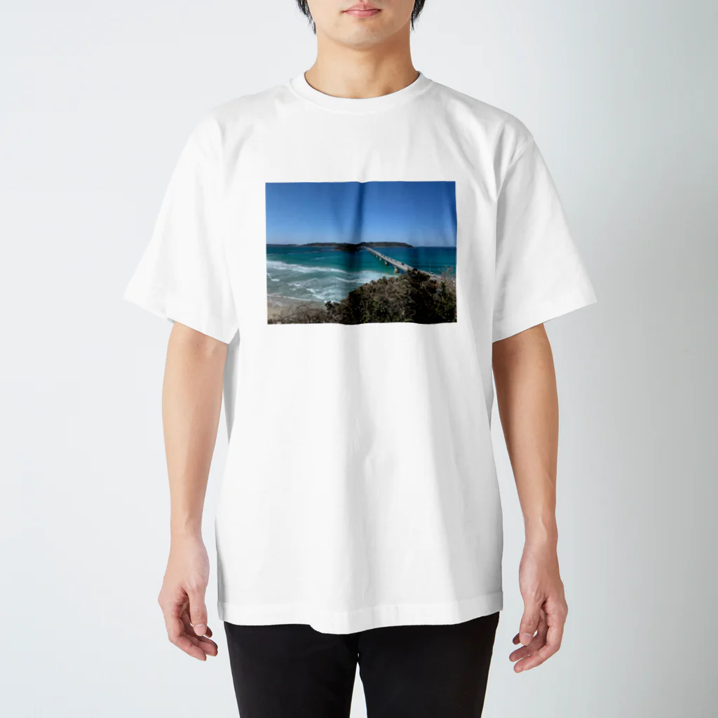 sachinaのiPhone Regular Fit T-Shirt