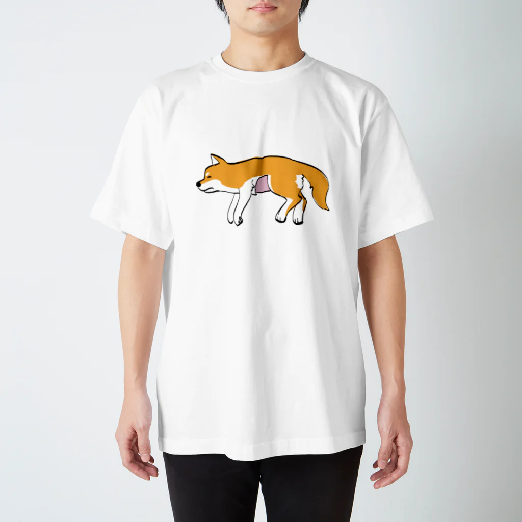 笛ガムのお腹の毛を刈られた犬 Regular Fit T-Shirt