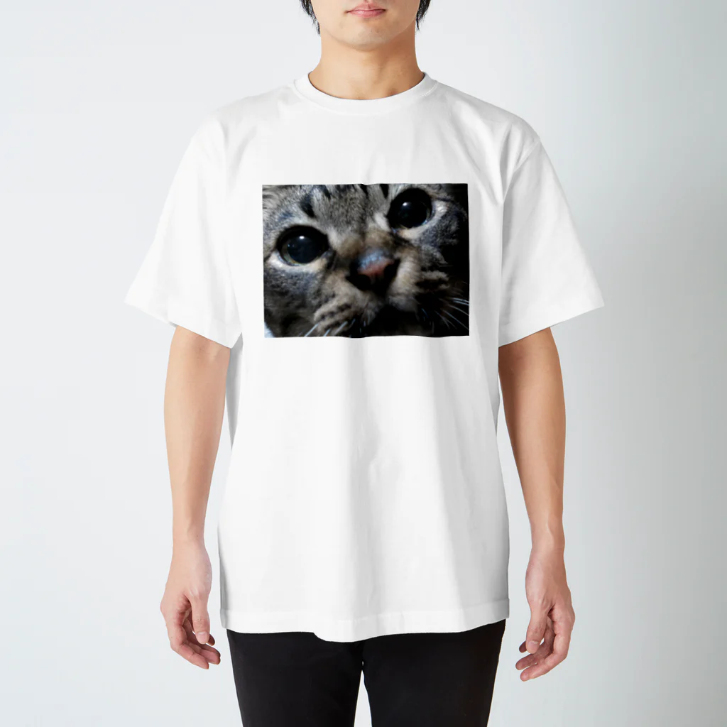 ハチワレ猫とらくがきの我が家の先代猫 スタンダードTシャツ