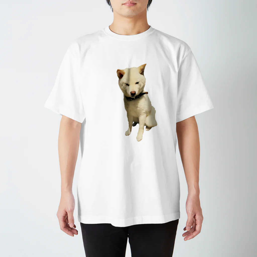 犬と猫と1日の豆柴犬のいっしんくん2 スタンダードTシャツ