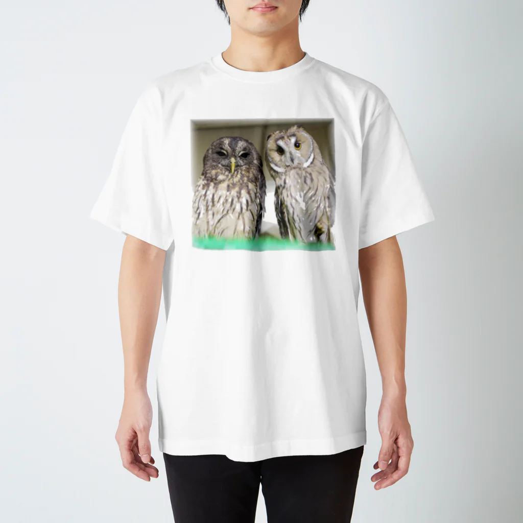 アニマルカフェ　The zoo &猛禽屋中部のナンベイヒナフクロウ&トラフズク スタンダードTシャツ