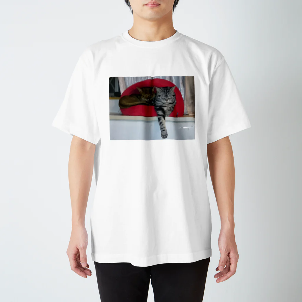 こうの仲良し2匹お休み中 Regular Fit T-Shirt