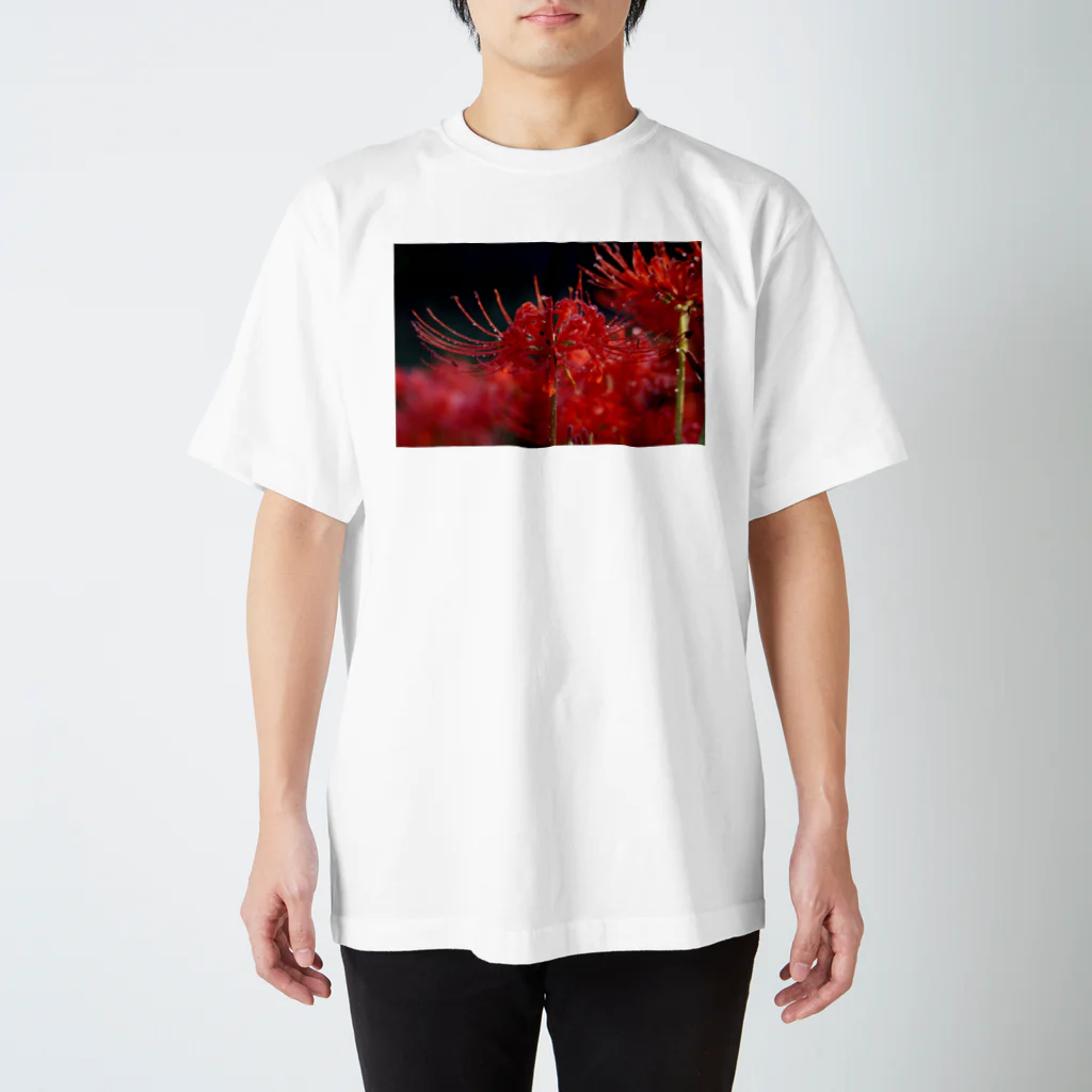 eMu*りおの彼岸花 スタンダードTシャツ