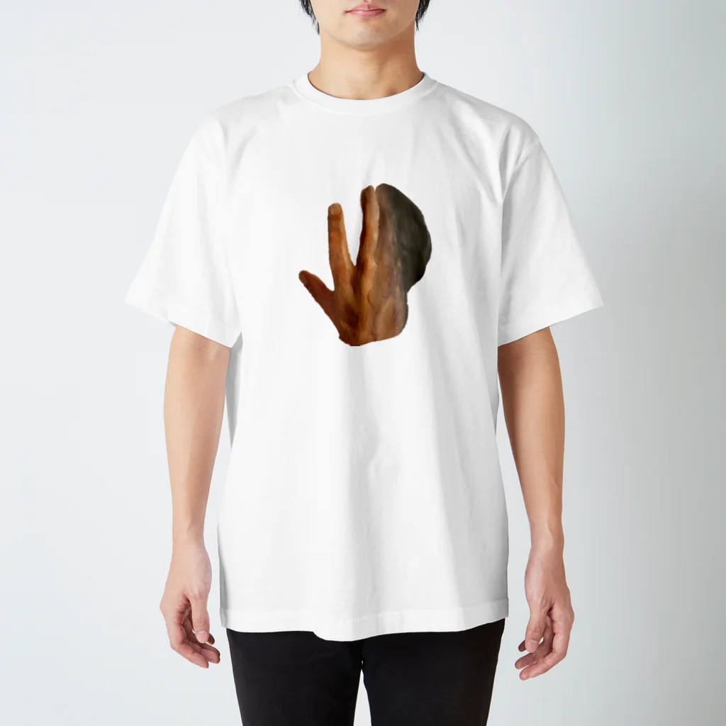 行方白子(ゆくえしらず)のイルカ人魚の標本(手) スタンダードTシャツ