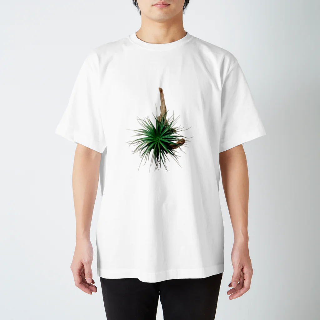 ブロメリアイテムの流木着生チランジア Regular Fit T-Shirt