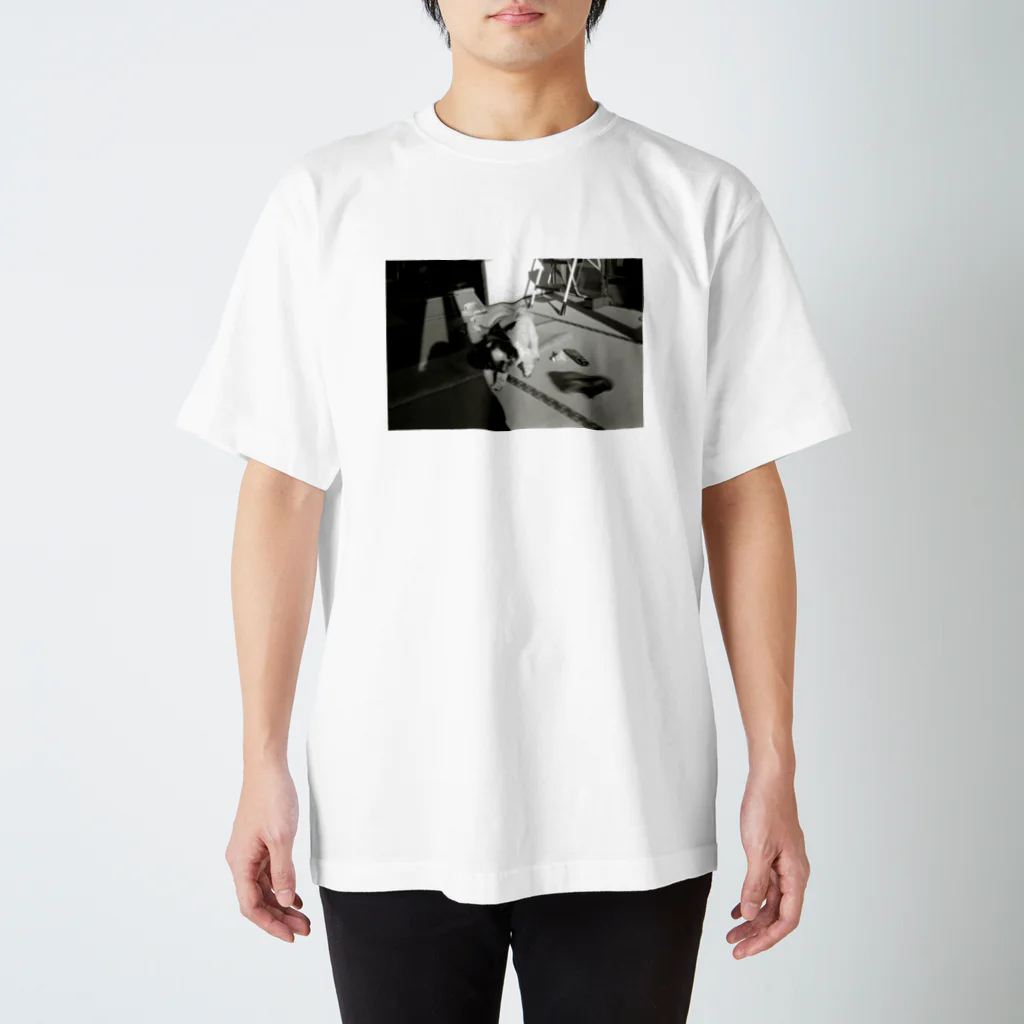 ももたろうのあばれいぬ Regular Fit T-Shirt