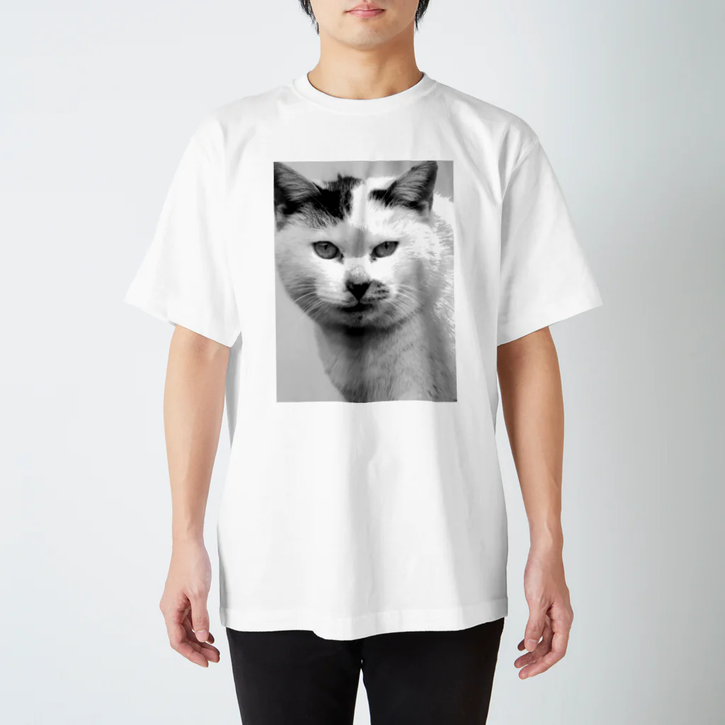 iguana_brosの猫は見た Regular Fit T-Shirt