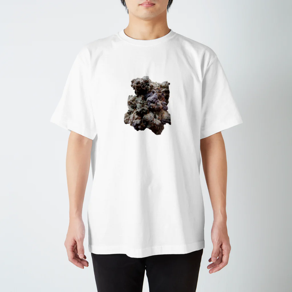 weneedweed1988@(日本人)大麻取締法に挑む。の花 スタンダードTシャツ