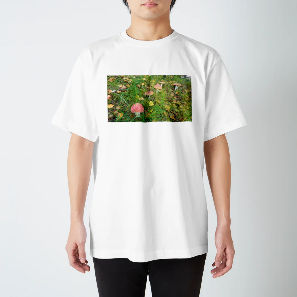 荒ぶるハムスターの毒キノコ スタンダードTシャツ