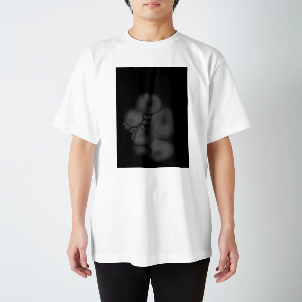 ボタニカルグッズのoppaidesu Regular Fit T-Shirt