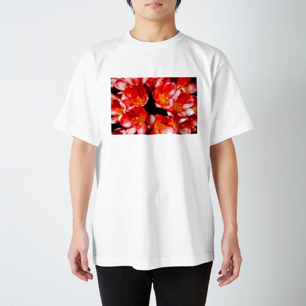 ak296の赤い花 Regular Fit T-Shirt