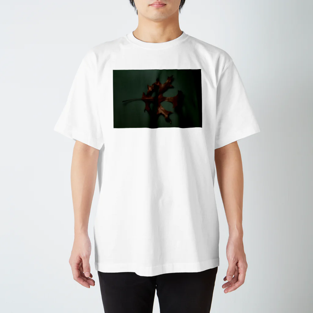 Ushunのdry leaf スタンダードTシャツ