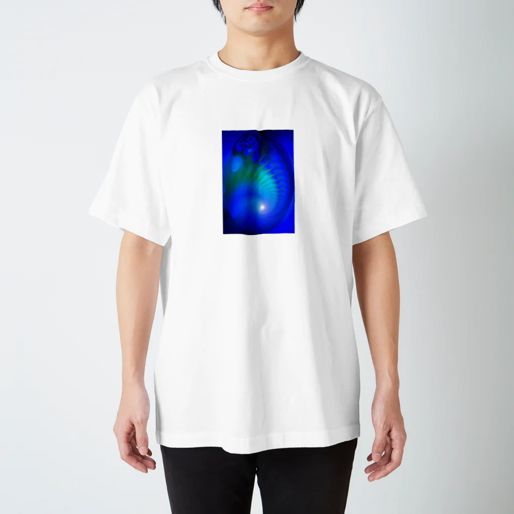 DigitalIntelligenceOrganismの魚 スタンダードTシャツ