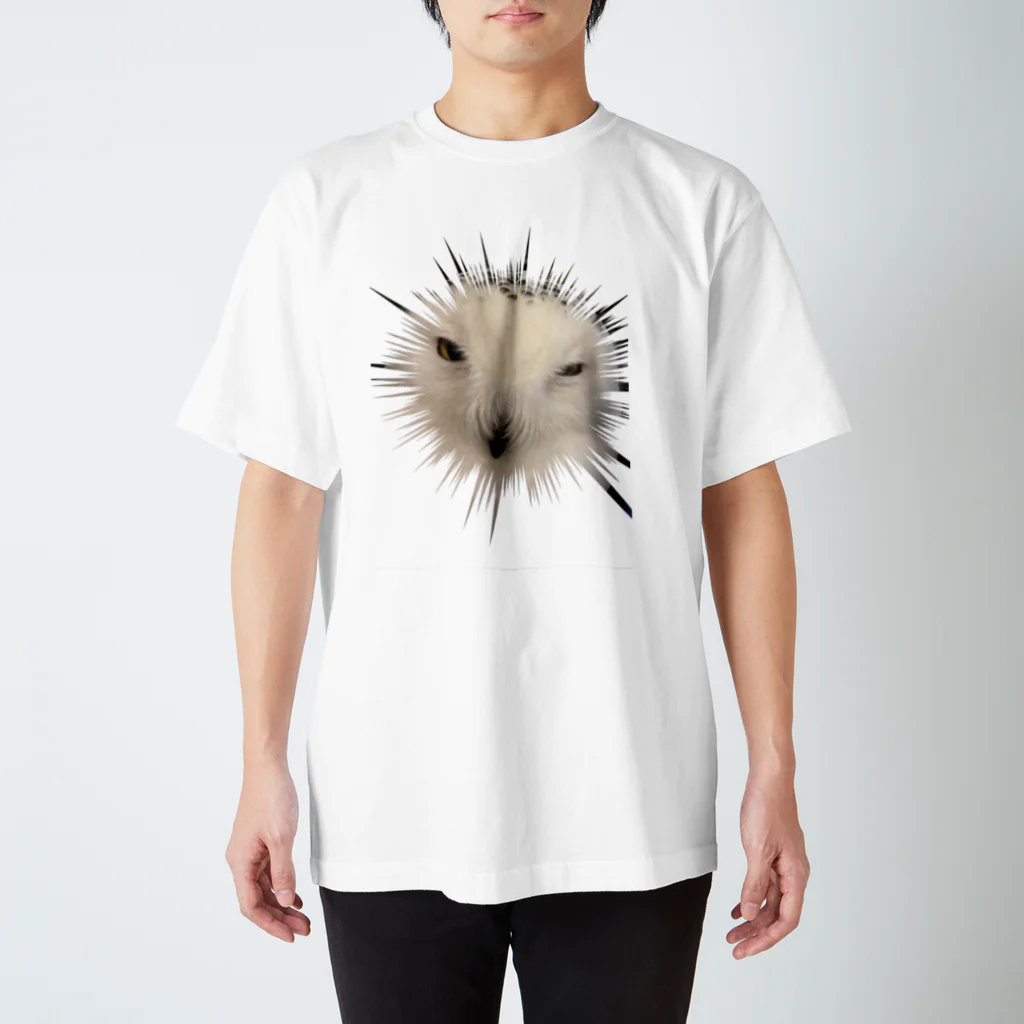 The Alone Foxのフクロウです スタンダードTシャツ