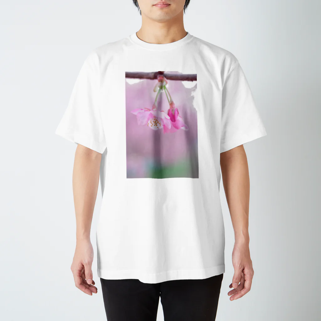 ゆる工房の河津桜 スタンダードTシャツ