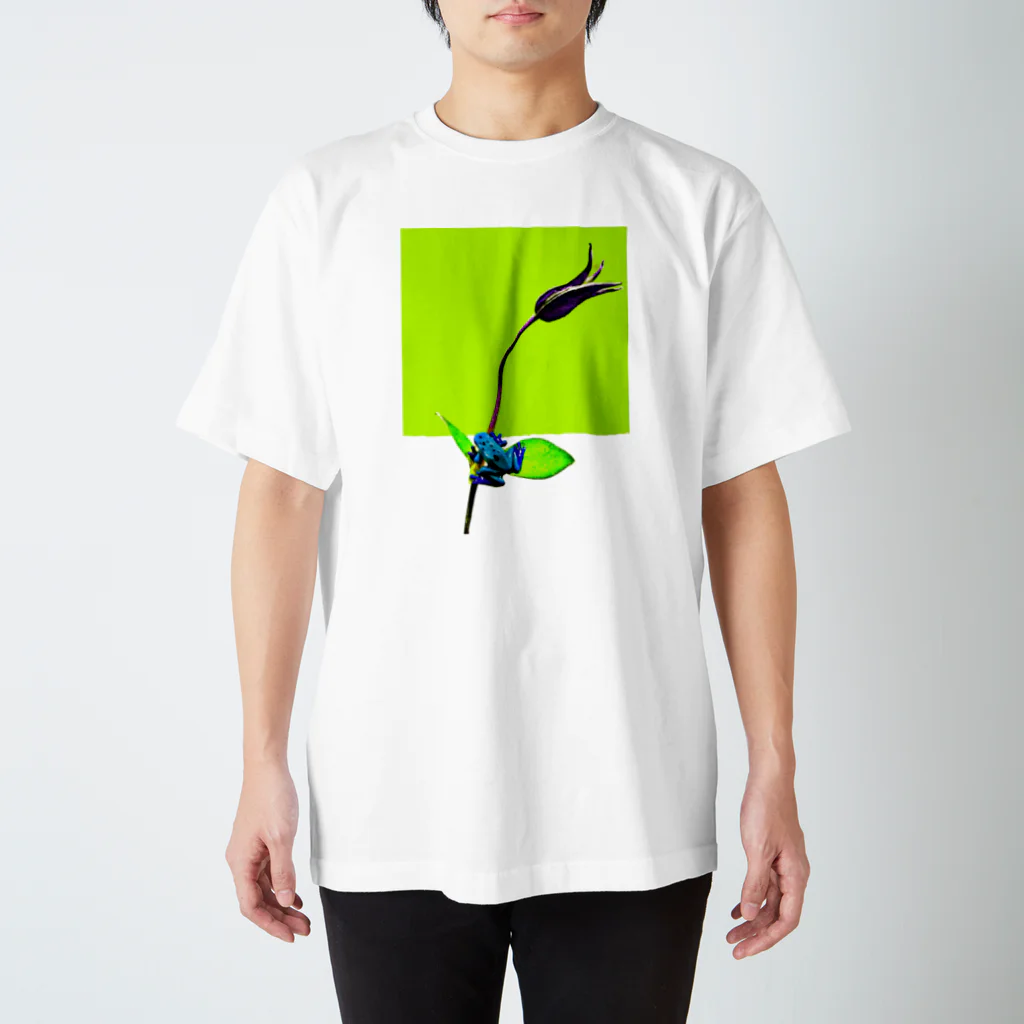 ＦＴＴＹのヤドクガエルと花 Regular Fit T-Shirt