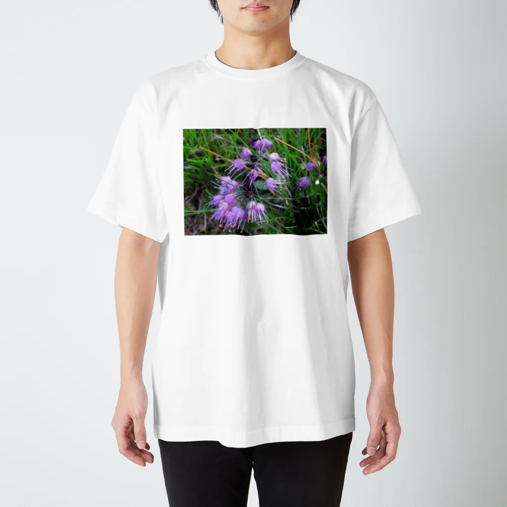 有川　弘治の夏 スタンダードTシャツ