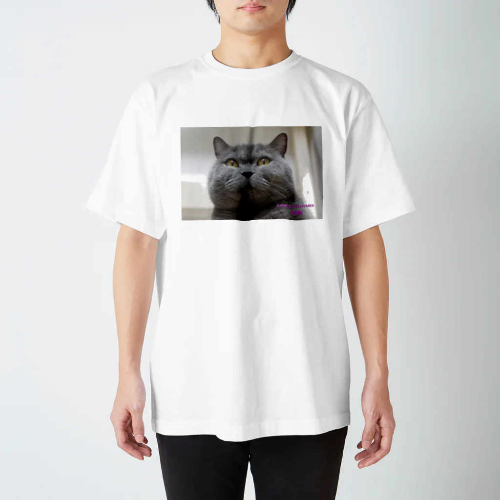 umekichi-umecoのあんずさん Regular Fit T-Shirt