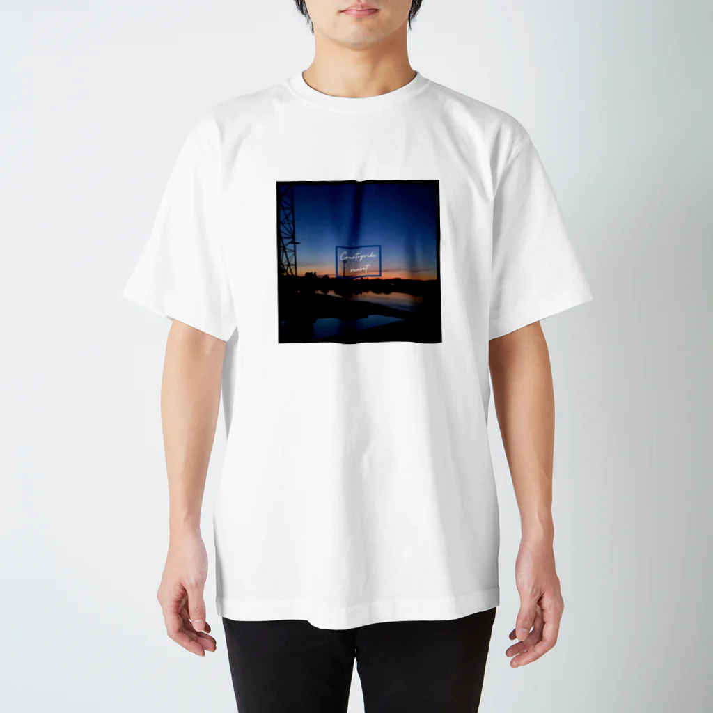 空置き場店のCountryside sunset 〜田舎の夕焼け〜 スタンダードTシャツ