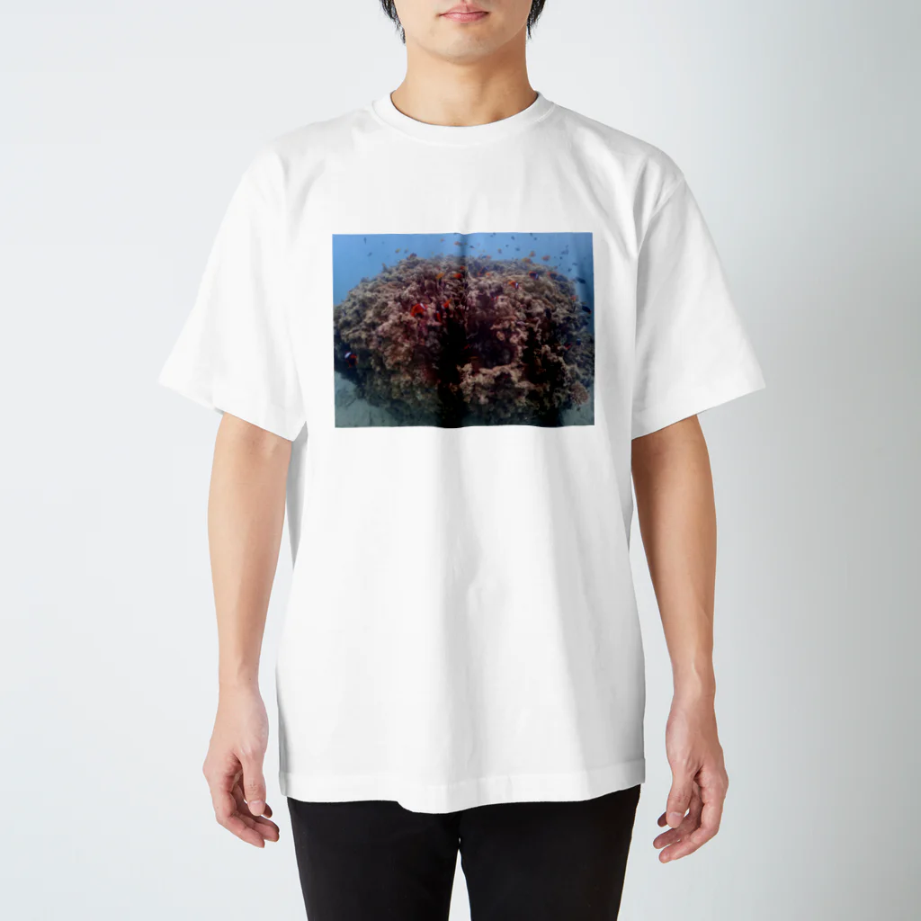 kaisentaitooru2020の海潜隊　辺野古クマノミ城 Regular Fit T-Shirt