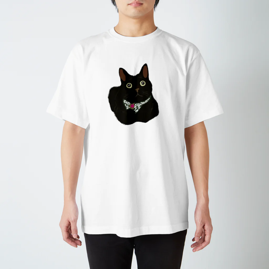 小鳥と映画館のお目目クリクリ黒猫 スタンダードTシャツ