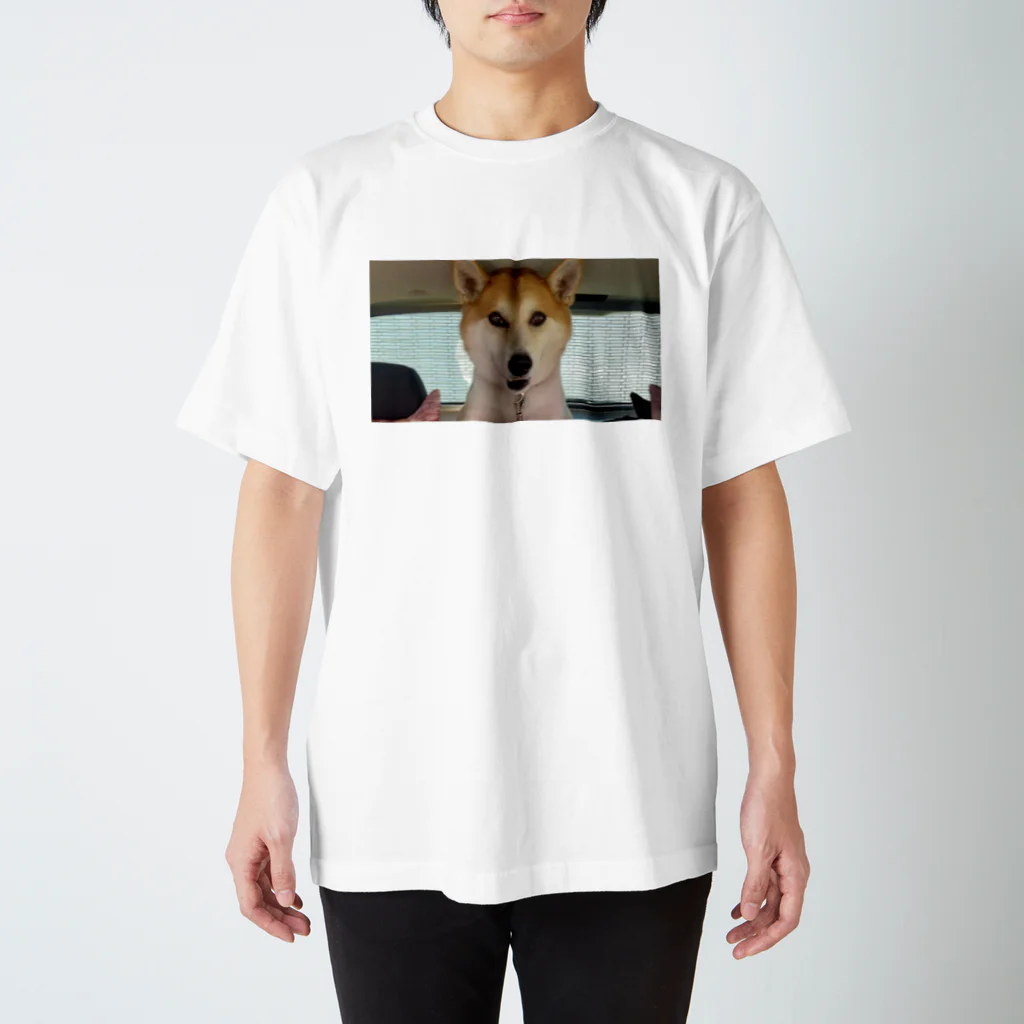 山内さんの子供たちのワンコのムサシ Regular Fit T-Shirt