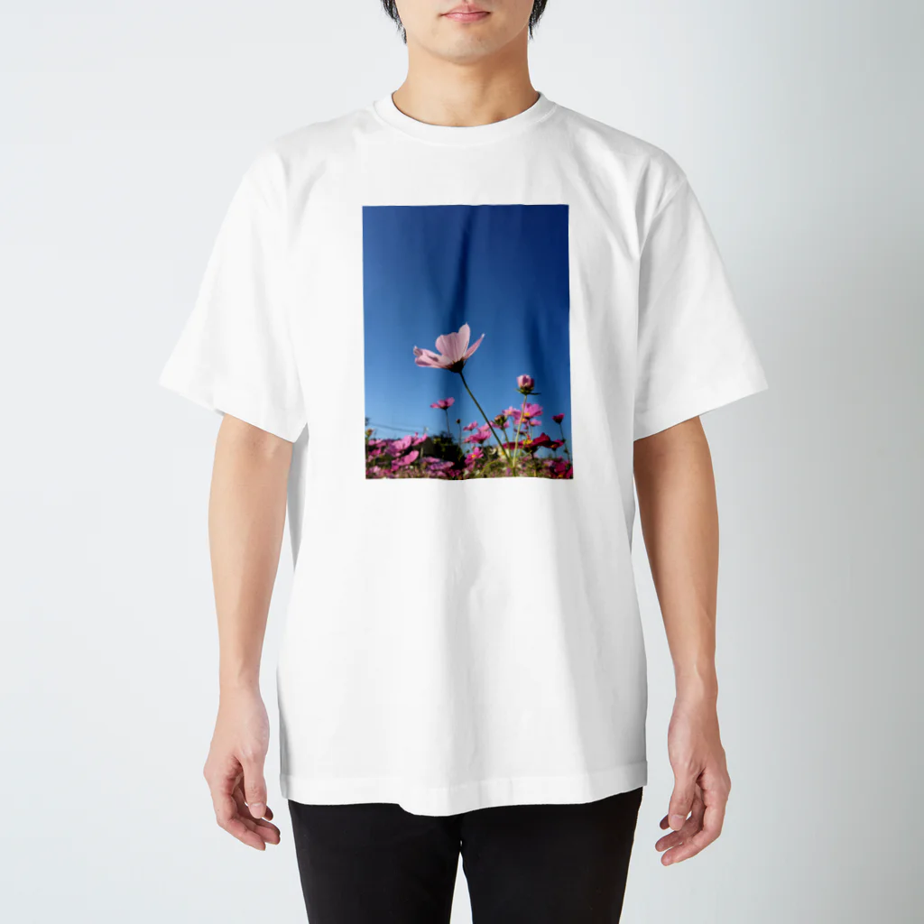 雫の中の世界の空と秋桜 スタンダードTシャツ