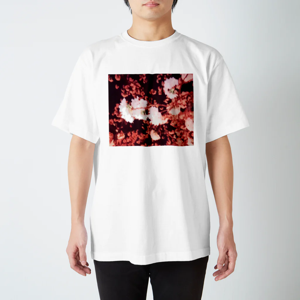 アゲハの夜桜 スタンダードTシャツ