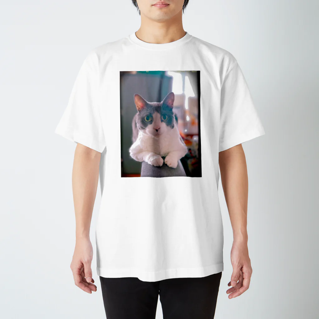 Rock in Catsの猫毛団のぽんちゃん スタンダードTシャツ