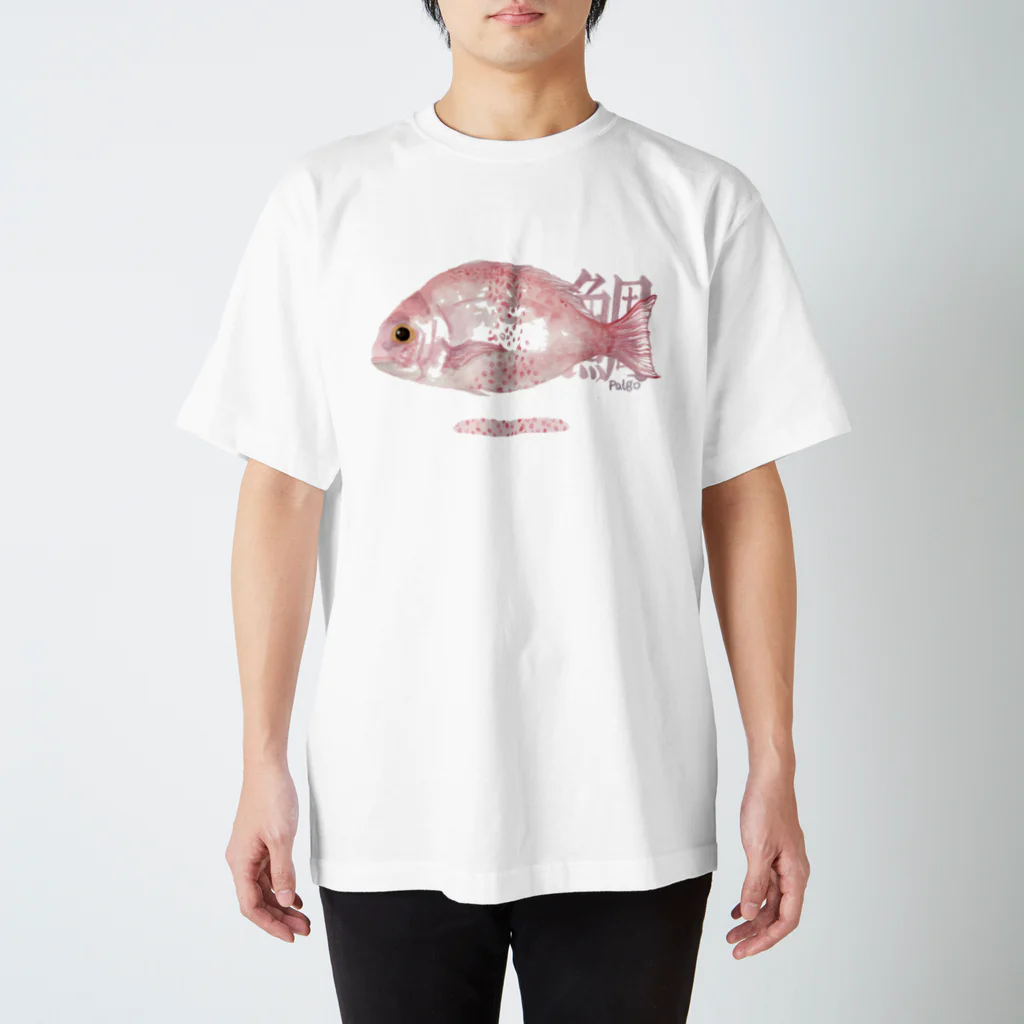 catanorynecoのTAI Regular Fit T-Shirt