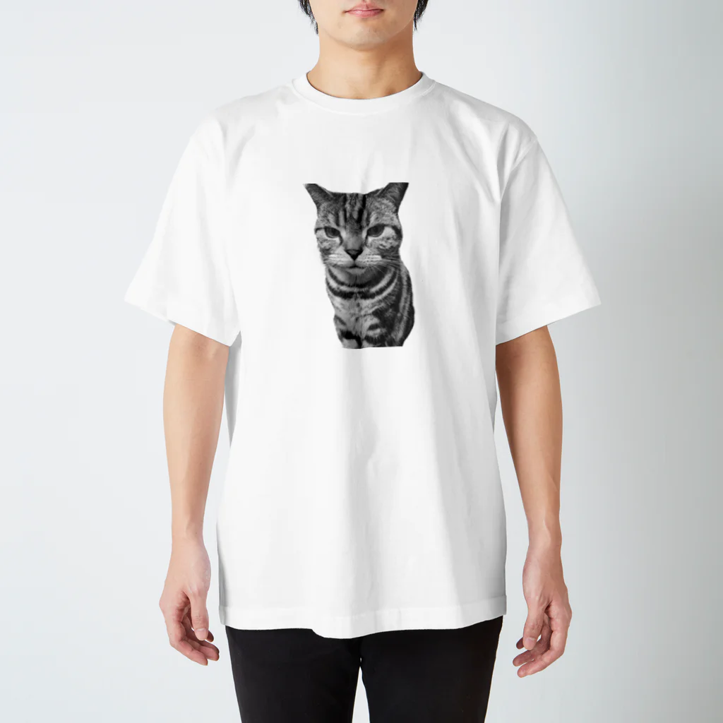 猫の事務所の逆切れ スタンダードTシャツ