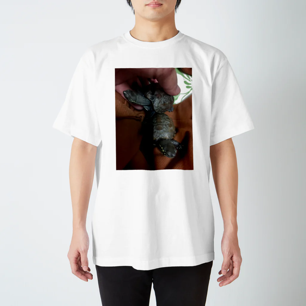 家族たちのかめちゃん Regular Fit T-Shirt