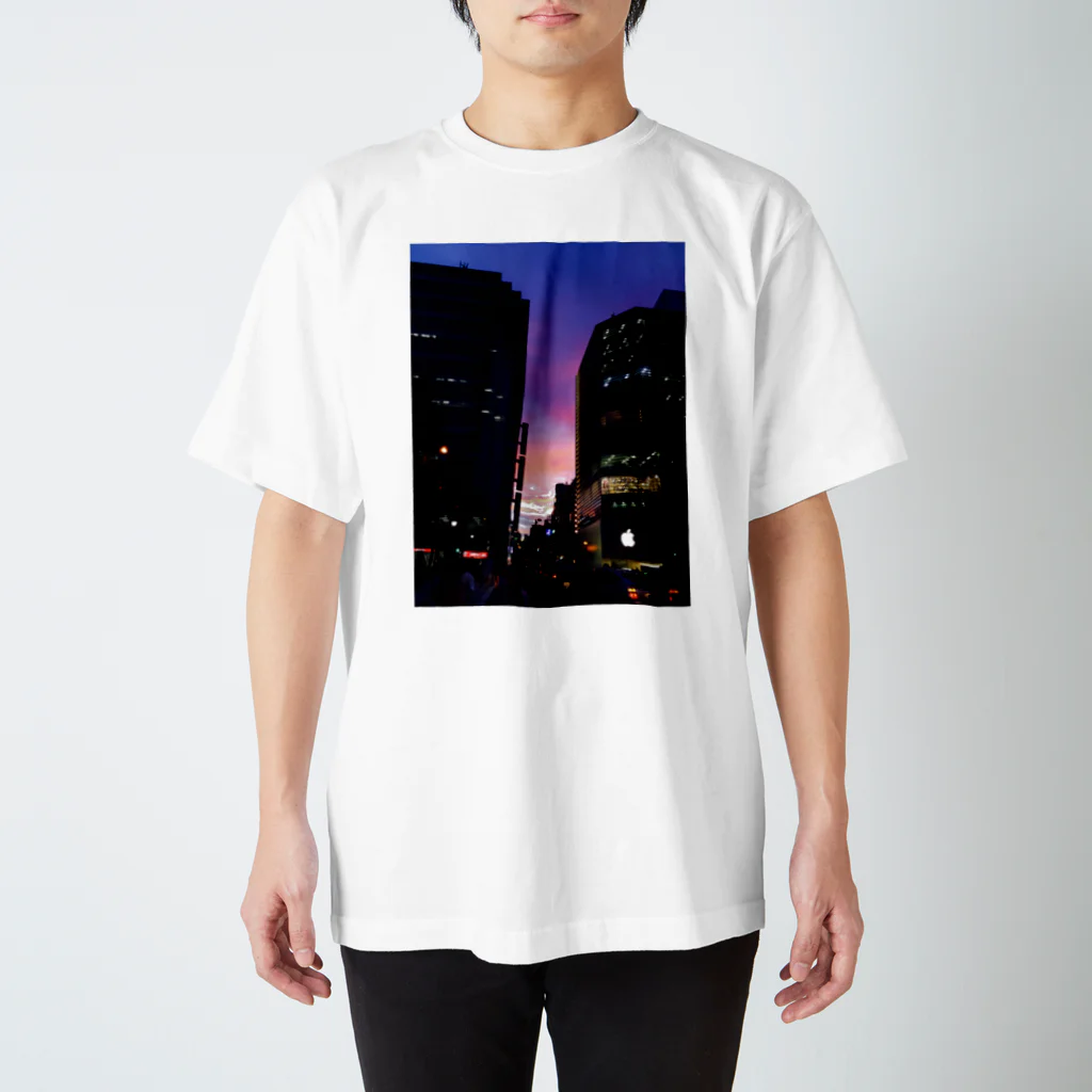 n___tzの間の色 Regular Fit T-Shirt