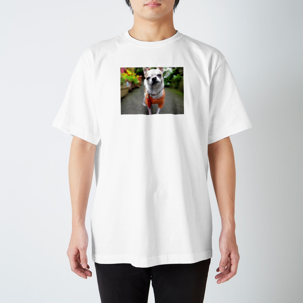 akane_art（茜音工房）のカラフルチワワ（フラワー） Regular Fit T-Shirt