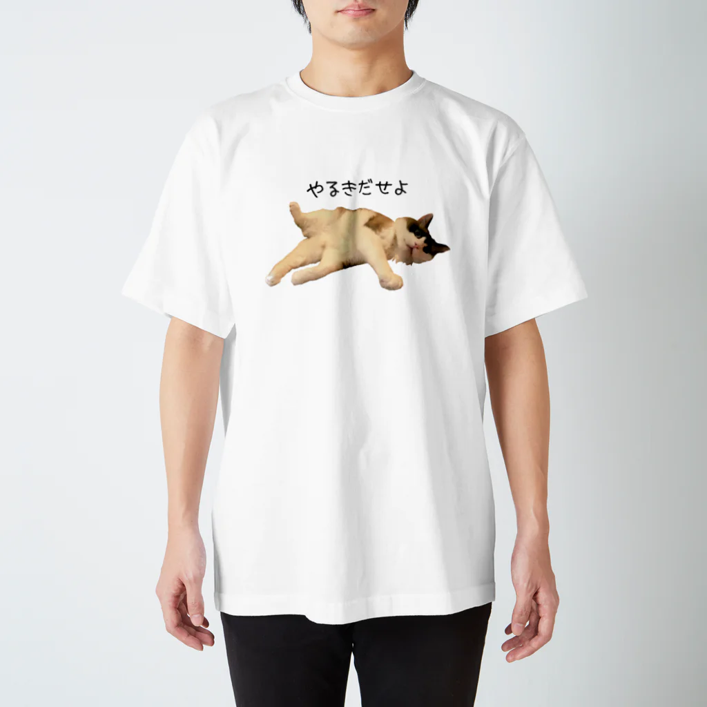 ANAN＠猫ひろしの人🥚🥚のやる気だせよ Regular Fit T-Shirt