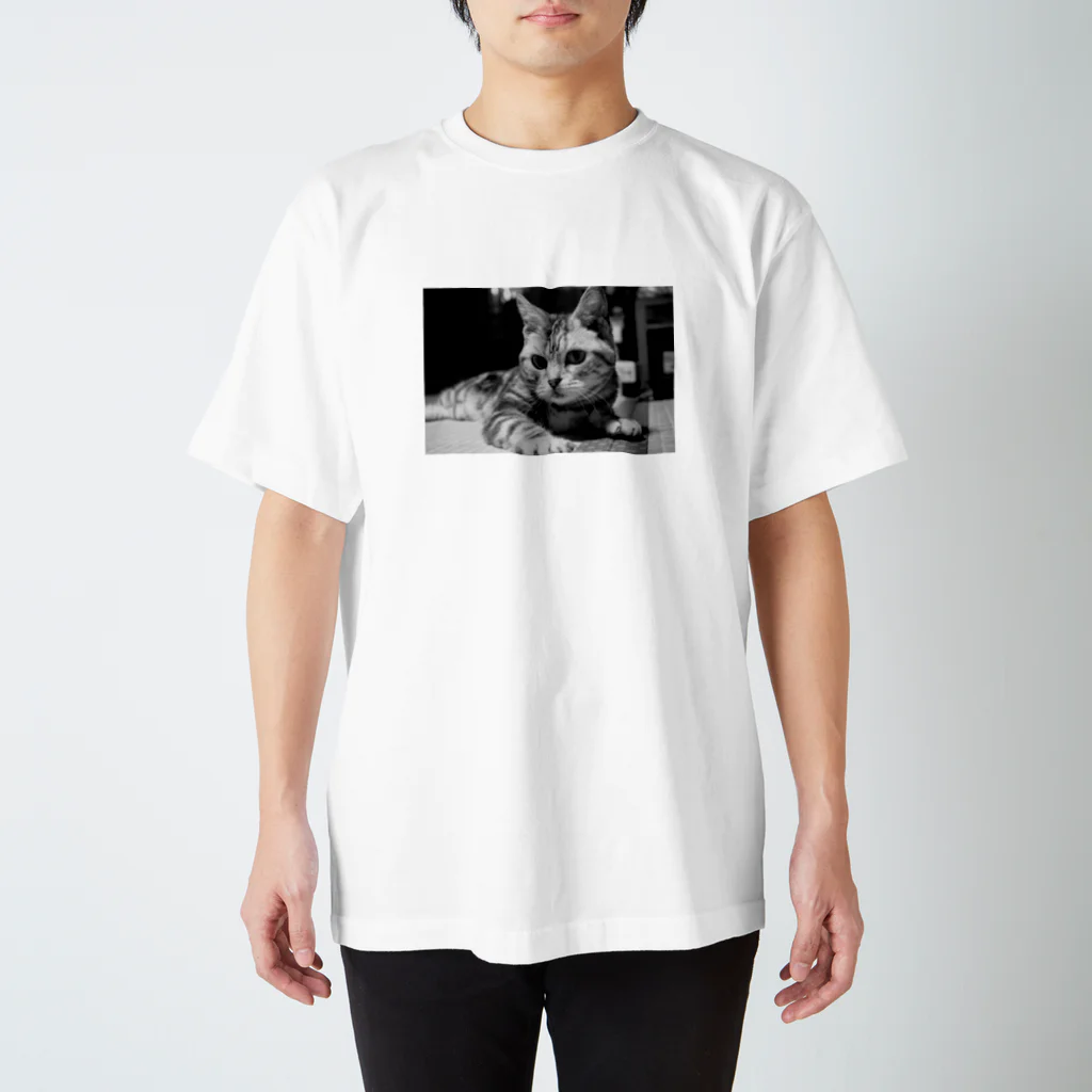 猫のサラちゃんのサラちゃん3 Regular Fit T-Shirt