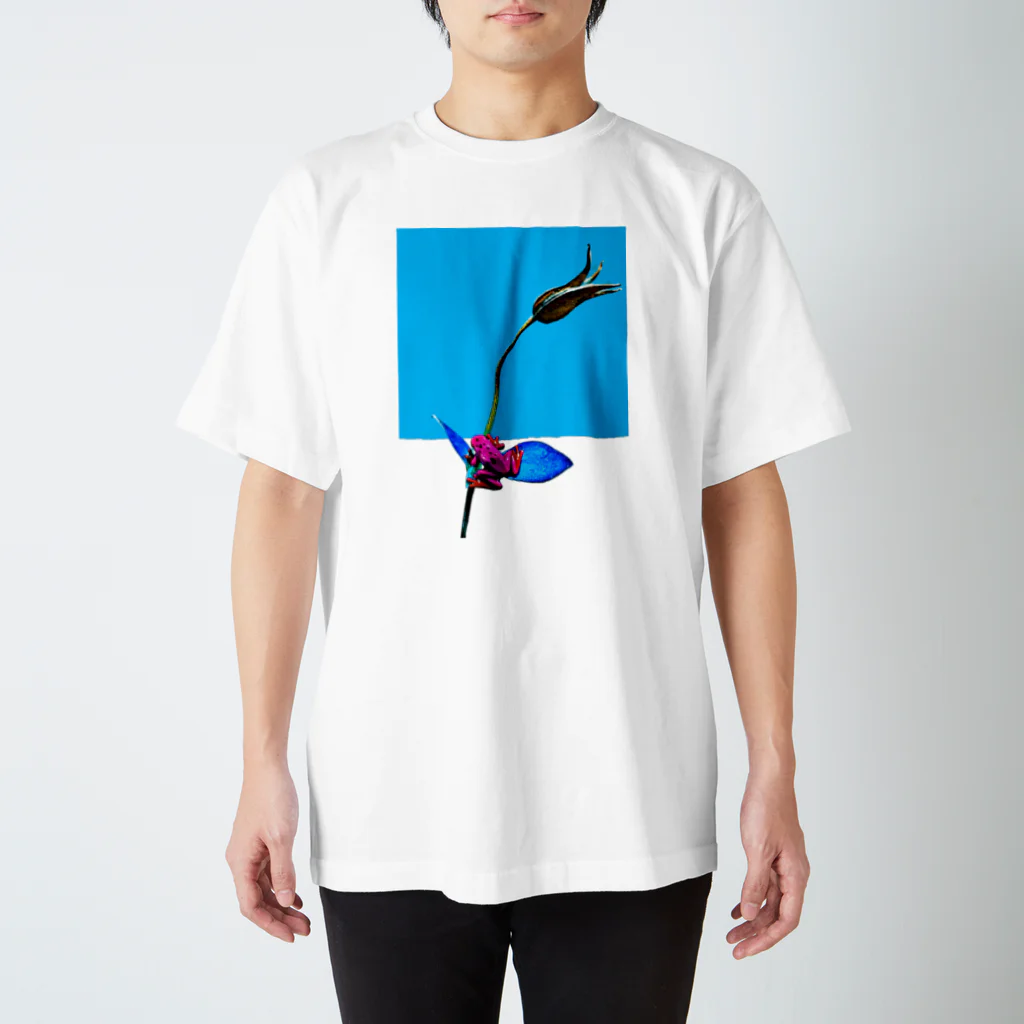 ＦＴＴＹのヤドクガエルと花 スタンダードTシャツ