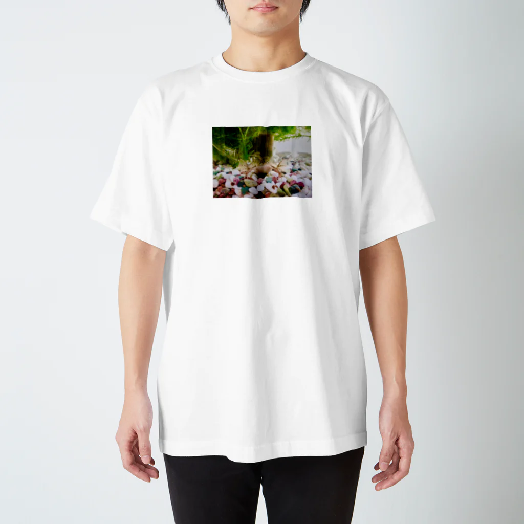 ふーーーのゼノパス Regular Fit T-Shirt