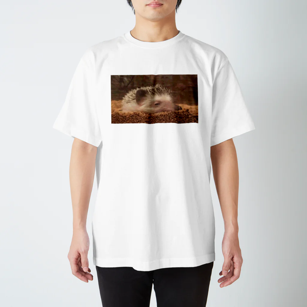 BELLAのSleepy Hedgehog スタンダードTシャツ